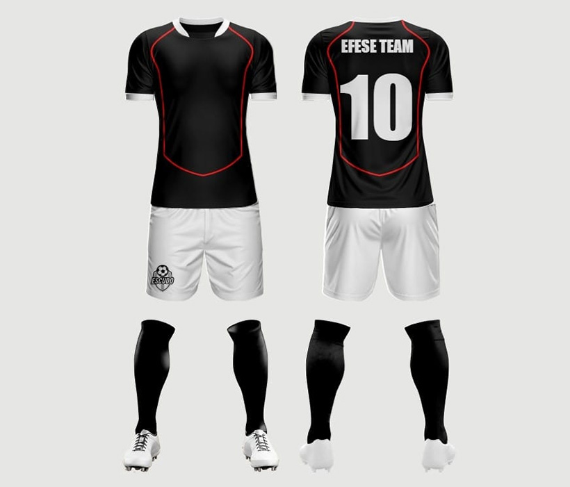 EFESE TEAM